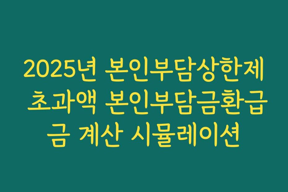 2025년 본인부담상한제 초과액 본인부담금환급금 계산 시뮬레이션
