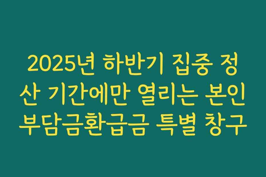2025년 하반기 집중 정산 기간에만 열리는 본인부담금환급금 특별 창구