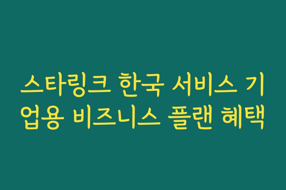 스타링크 한국 서비스 기업용 비즈니스 플랜 혜택