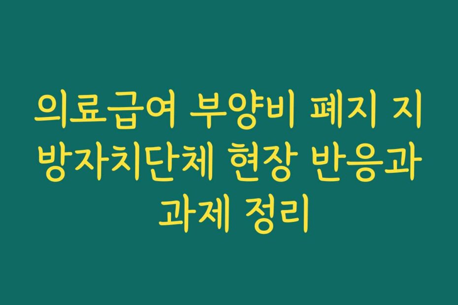 의료급여 부양비 폐지 지방자치단체 현장 반응과 과제 정리