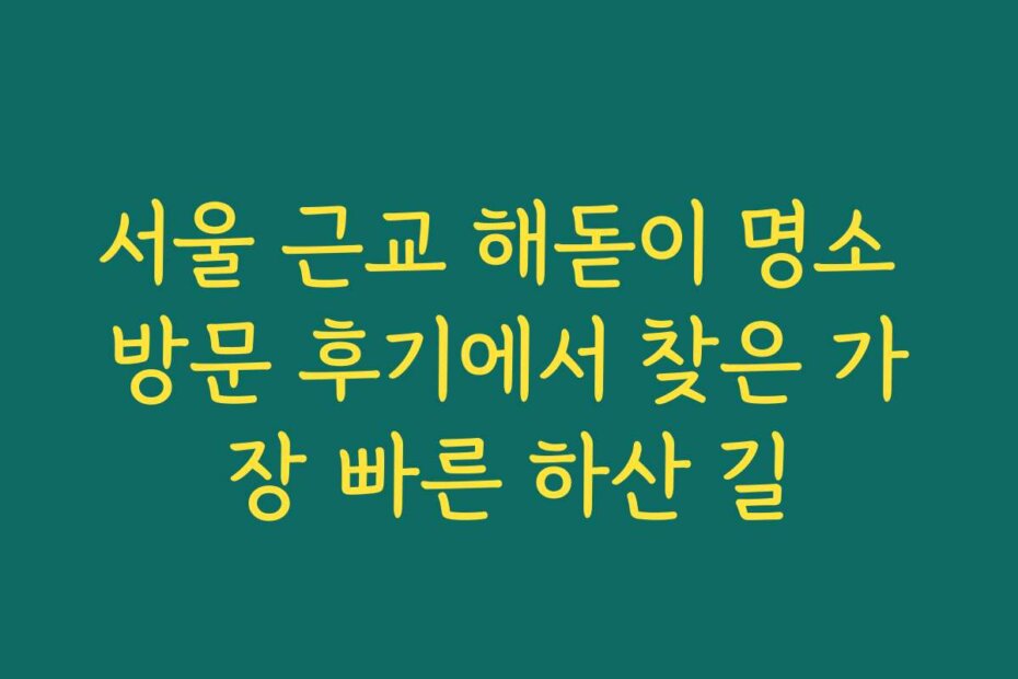 서울 근교 해돋이 명소 방문 후기에서 찾은 가장 빠른 하산 길