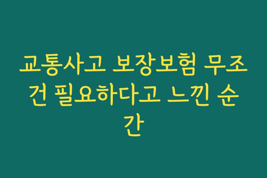 교통사고 보장보험 무조건 필요하다고 느낀 순간