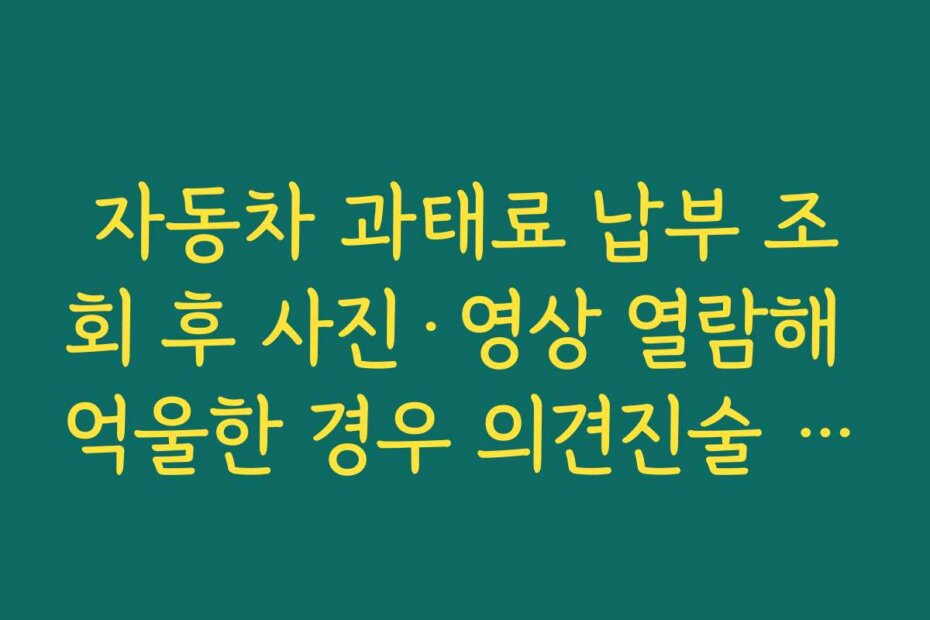 자동차 과태료 납부 조회 후 사진·영상 열람해 억울한 경우 의견진술 준비하는 요령