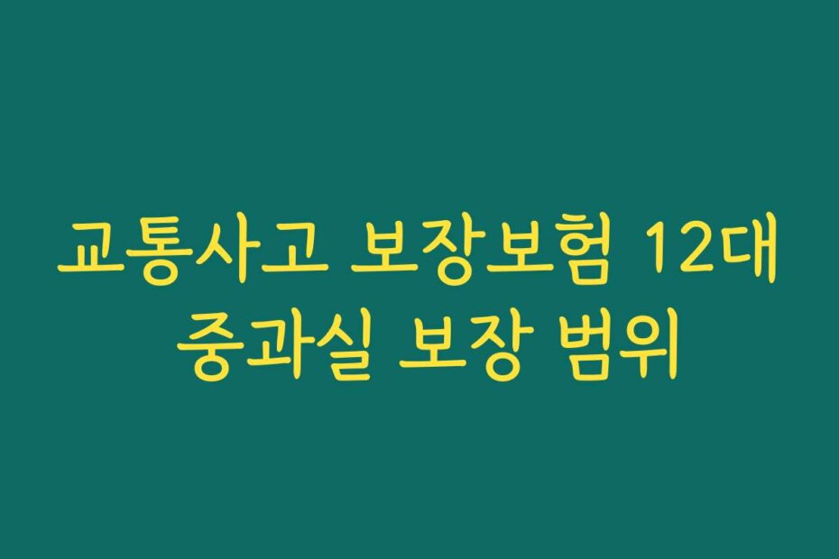 교통사고 보장보험 12대 중과실 보장 범위