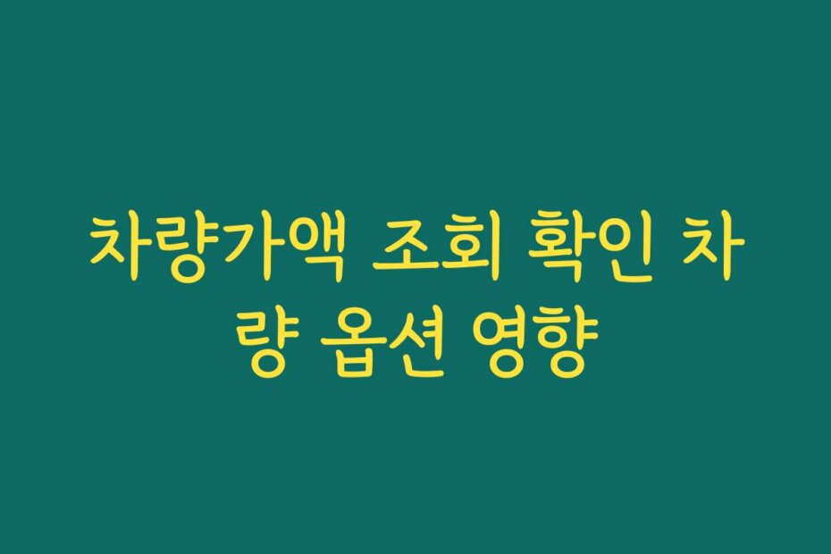 차량가액 조회 확인 차량 옵션 영향 차량가액 조회 확인 차량 옵션 영향