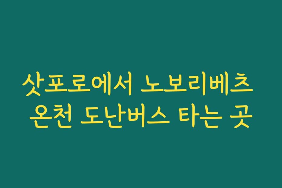 삿포로에서 노보리베츠 온천 도난버스 타는 곳
