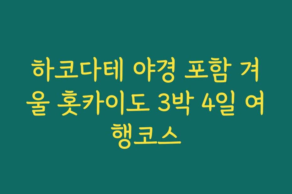 하코다테 야경 포함 겨울 홋카이도 3박 4일 여행코스