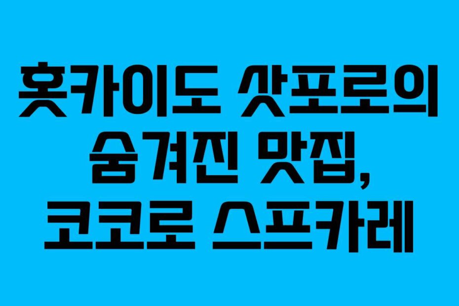 홋카이도 삿포로의 숨겨진 맛집, 코코로 스프카레