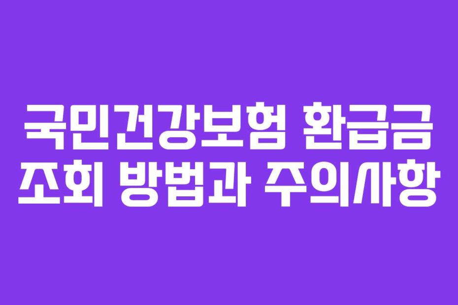 국민건강보험 환급금 조회 방법과 주의사항