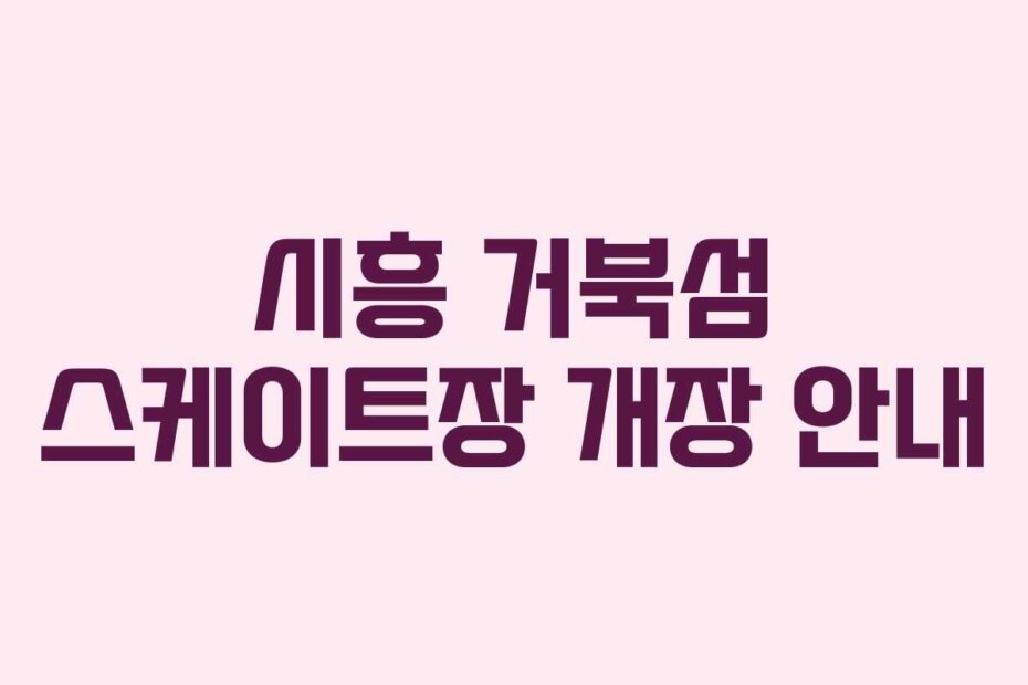 시흥 거북섬 스케이트장 개장 안내
