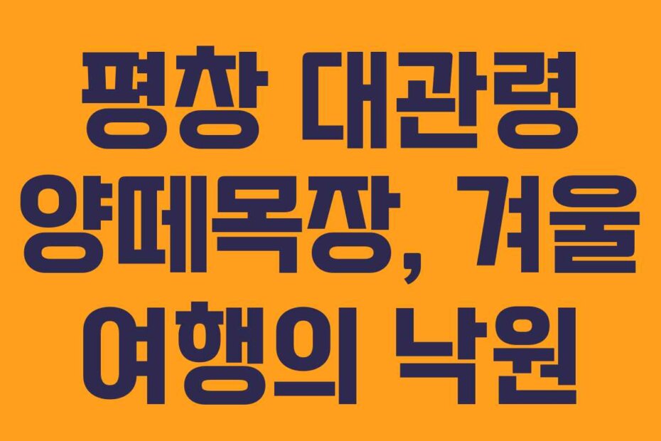 평창 대관령 양떼목장, 겨울 여행의 낙원