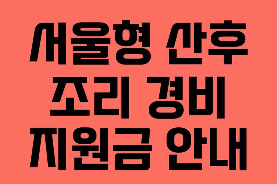 서울형 산후 조리 경비 지원금 안내