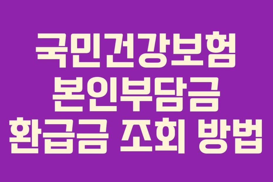 국민건강보험 본인부담금 환급금 조회 방법