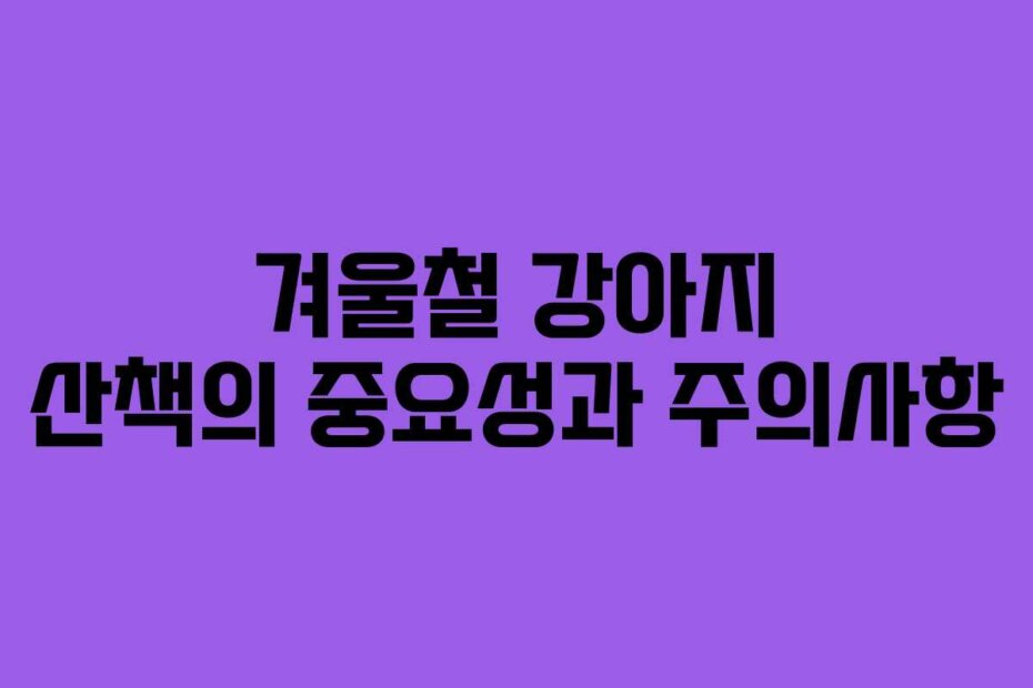 겨울철 강아지 산책의 중요성과 주의사항
