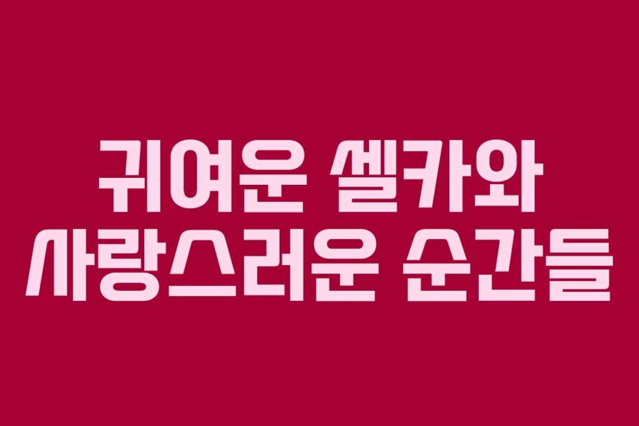 귀여운 셀카와 사랑스러운 순간들