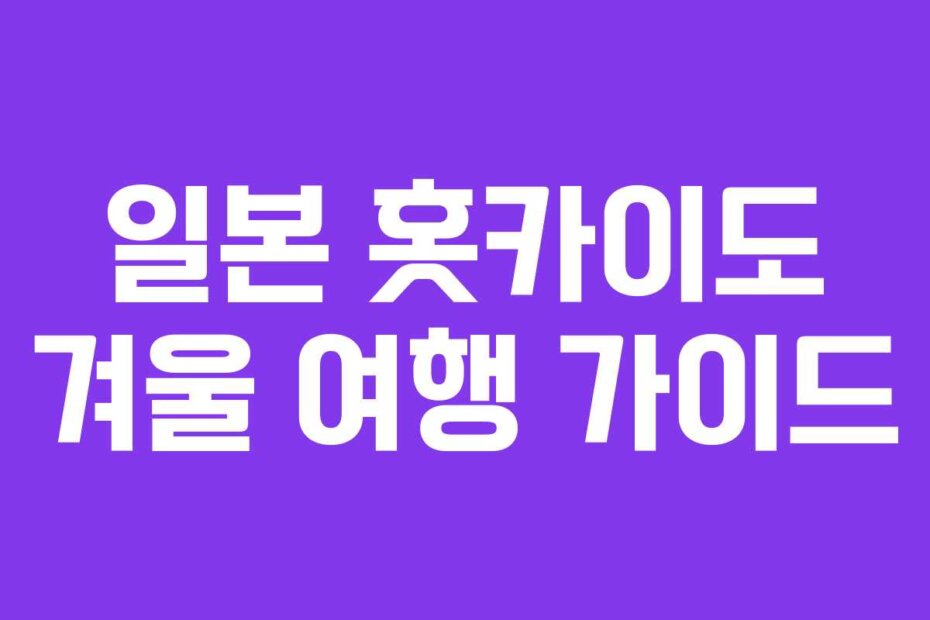 일본 홋카이도 겨울 여행 가이드
