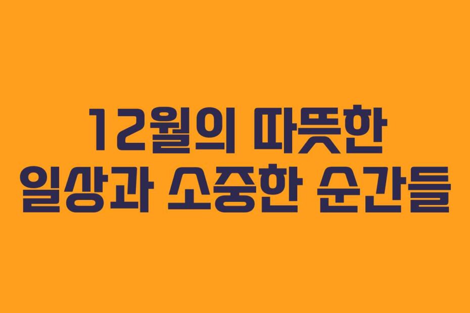 12월의 따뜻한 일상과 소중한 순간들