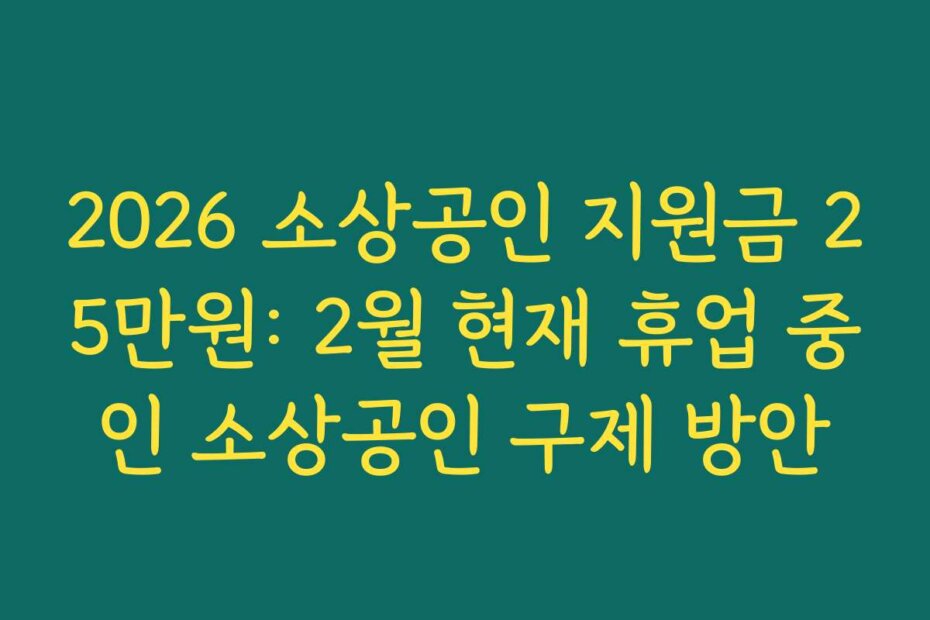 2026 소상공인 지원금 25만원: 2월 현재 휴업 중인 소상공인 구제 방안 2026 소상공인 지원금 25만원: 2월 현재 휴업 중인 소상공인 구제 방안
