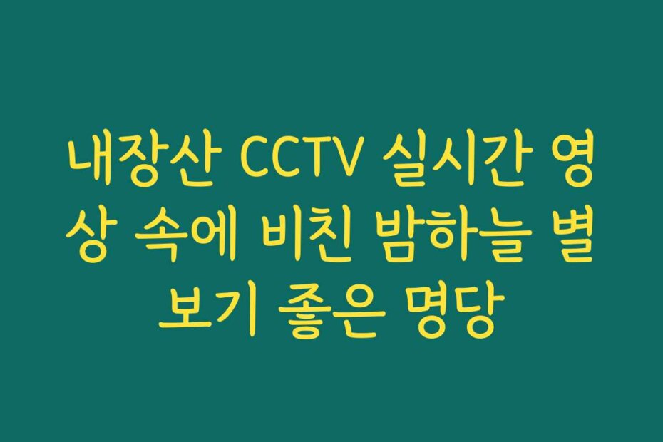 내장산 CCTV 실시간 영상 속에 비친 밤하늘 별보기 좋은 명당