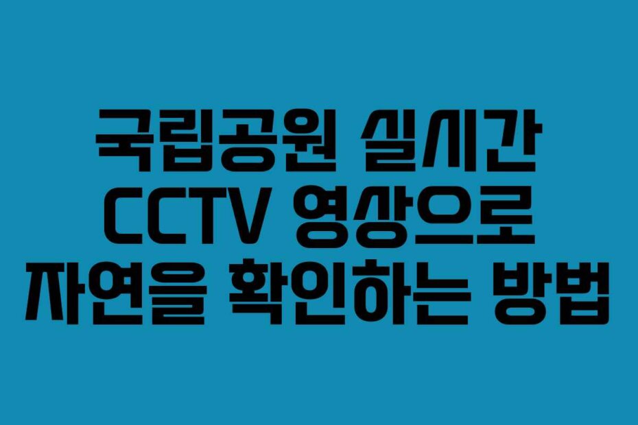 국립공원 실시간 CCTV 영상으로 자연을 확인하는 방법