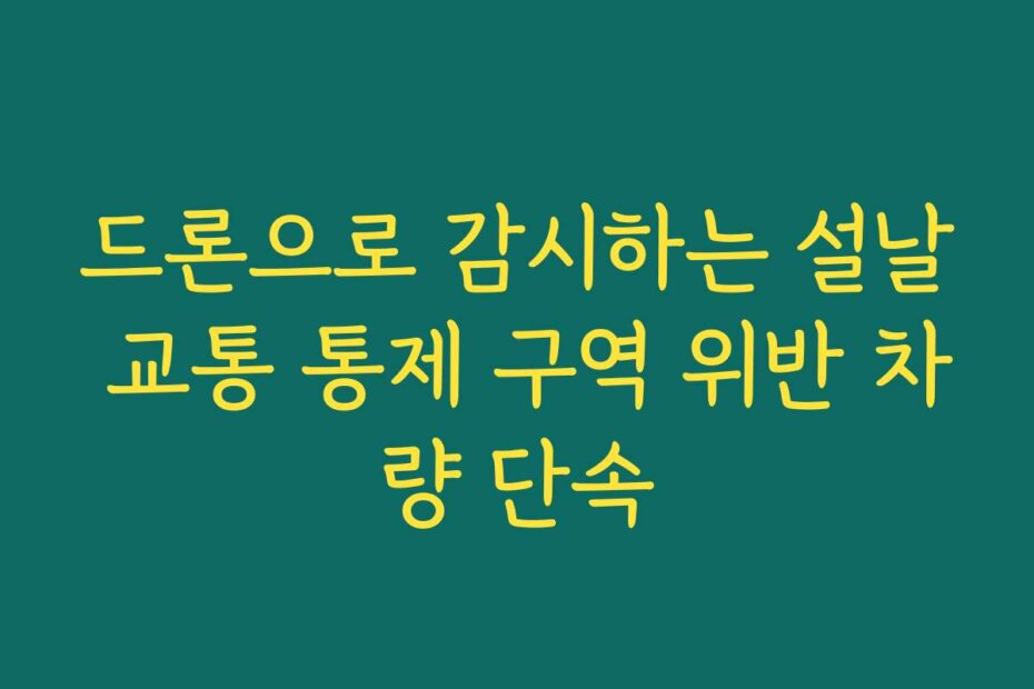 드론으로 감시하는 설날 교통 통제 구역 위반 차량 단속