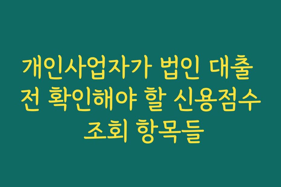 개인사업자가 법인 대출 전 확인해야 할 신용점수 조회 항목들