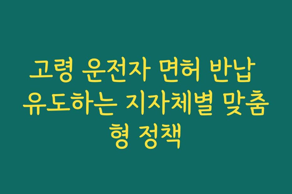 고령 운전자 면허 반납 유도하는 지자체별 맞춤형 정책