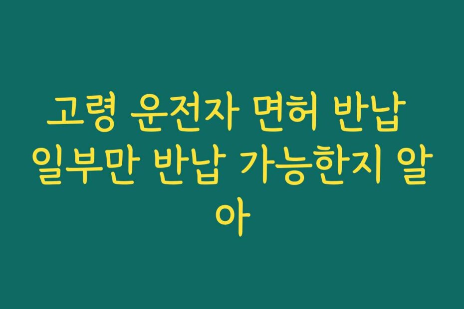 고령 운전자 면허 반납 일부만 반납 가능한지 알아
