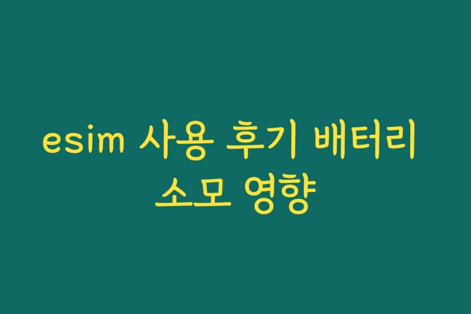 esim 사용 후기 배터리 소모 영향