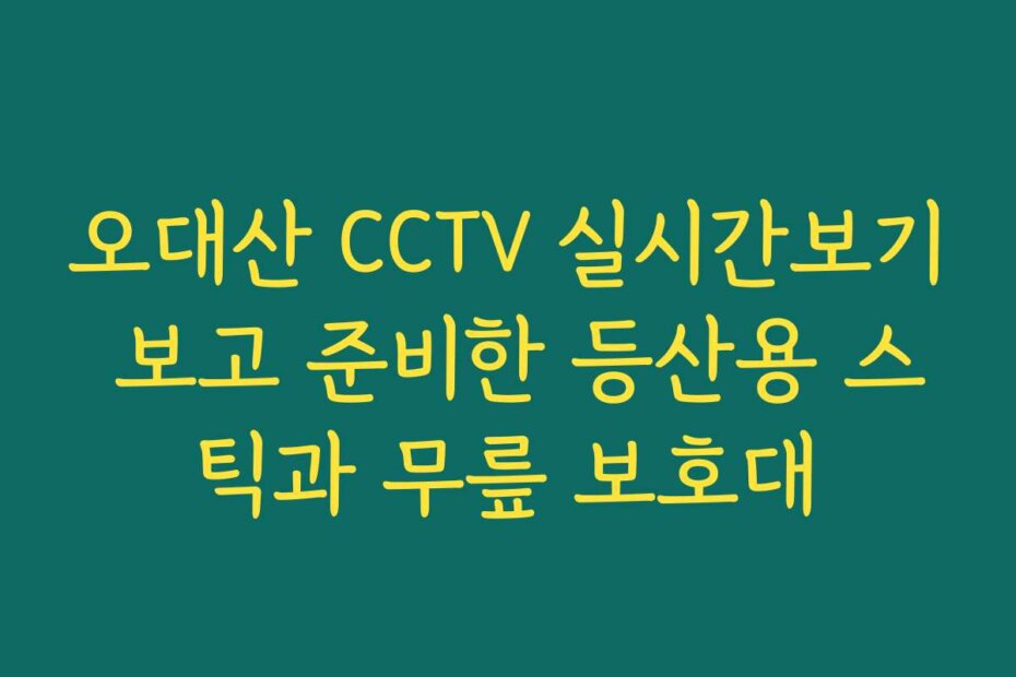 오대산 CCTV 실시간보기 보고 준비한 등산용 스틱과 무릎 보호대