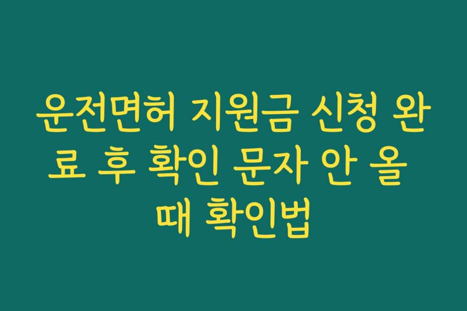 운전면허 지원금 신청 완료 후 확인 문자 안 올 때 확인법