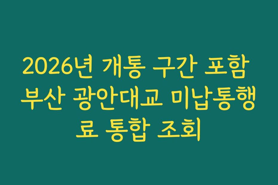 2026년 개통 구간 포함 부산 광안대교 미납통행료 통합 조회