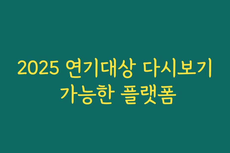 2025 연기대상 다시보기 가능한 플랫폼