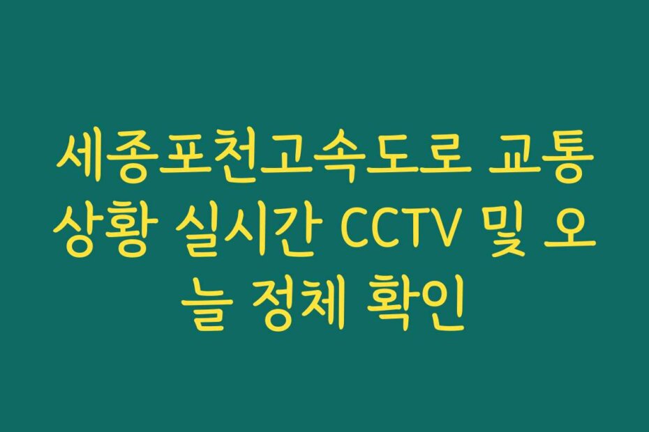 세종포천고속도로 교통상황 실시간 CCTV 및 오늘 정체 확인