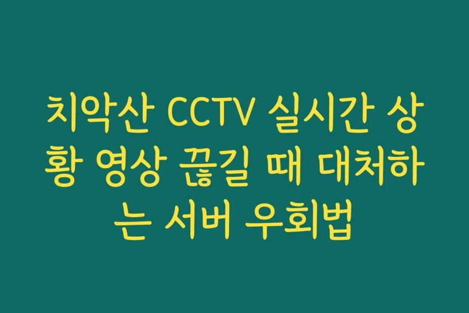 치악산 CCTV 실시간 상황 영상 끊길 때 대처하는 서버 우회법
