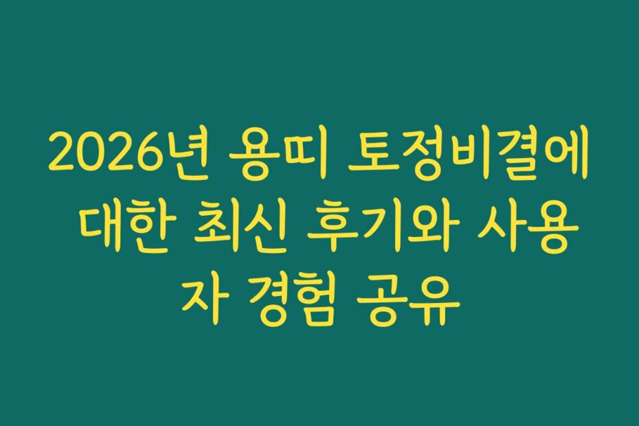 2026년 용띠 토정비결에 대한 최신 후기와 사용자 경험 공유