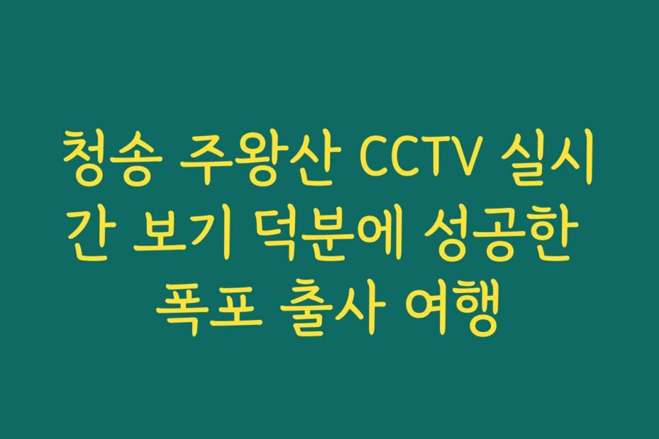 청송 주왕산 CCTV 실시간 보기 덕분에 성공한 폭포 출사 여행