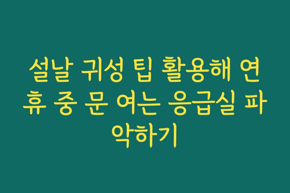 설날 귀성 팁 활용해 연휴 중 문 여는 응급실 파악하기