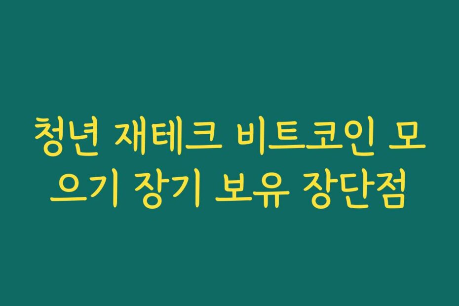 청년 재테크 비트코인 모으기 장기 보유 장단점 청년 재테크 비트코인 모으기 장기 보유 장단점