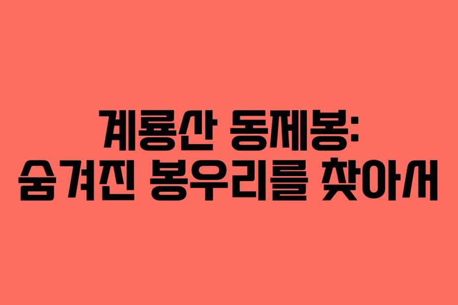 계룡산 동제봉: 숨겨진 봉우리를 찾아서