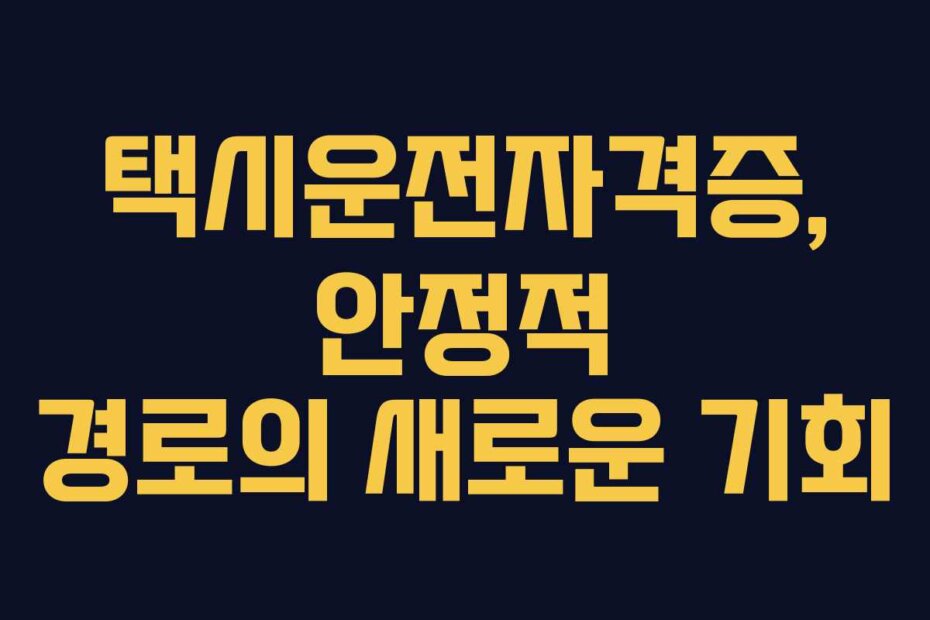 택시운전자격증, 안정적 경로의 새로운 기회