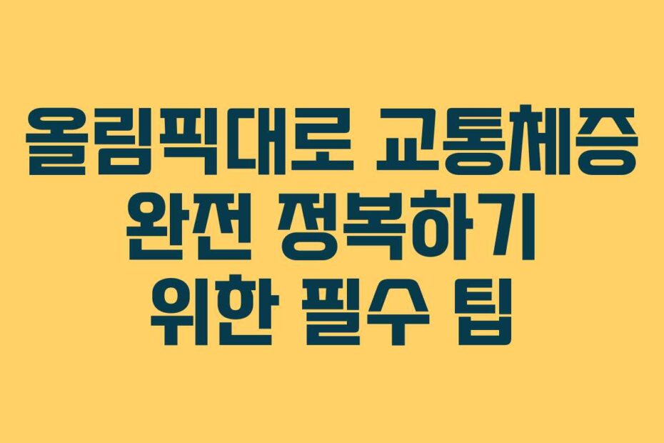 올림픽대로 교통체증 완전 정복하기 위한 필수 팁