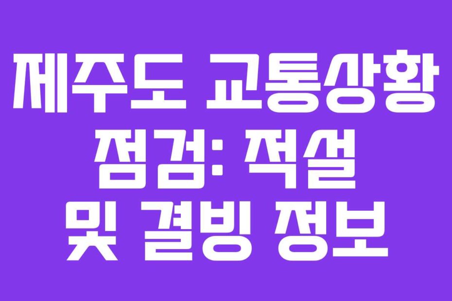 제주도 교통상황 점검: 적설 및 결빙 정보