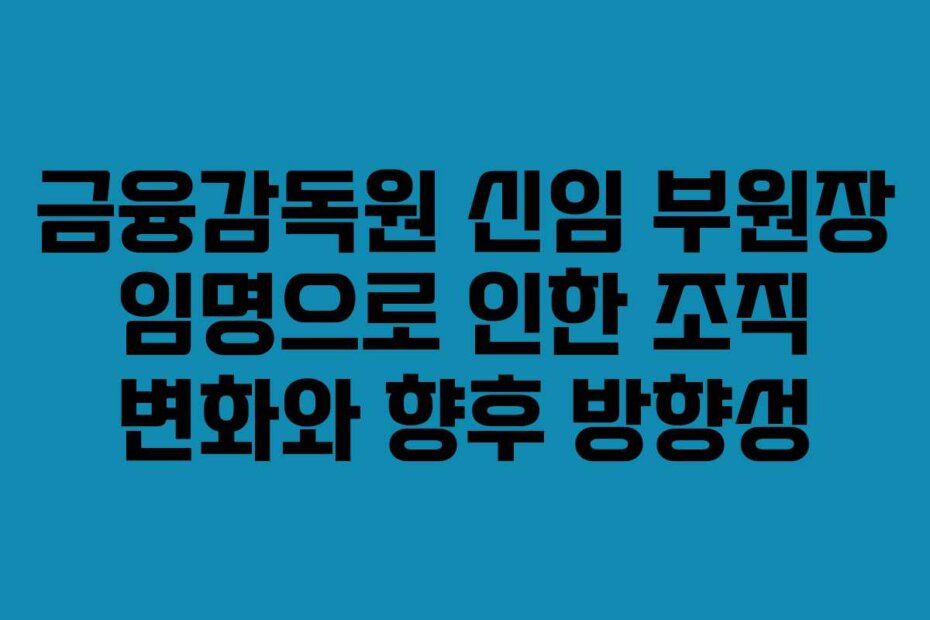 금융감독원 신임 부원장 임명으로 인한 조직 변화와 향후 방향성