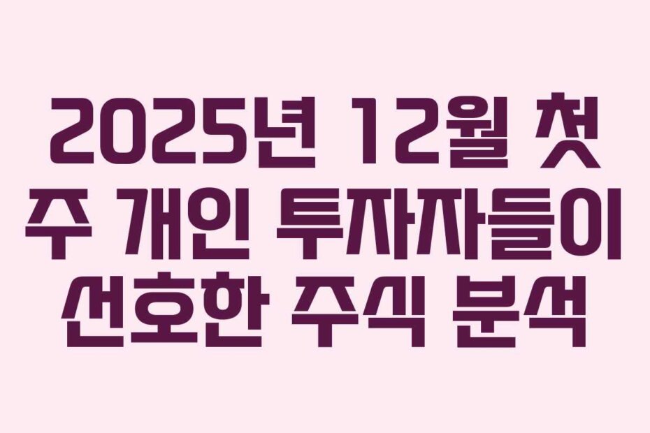 2025년 12월 첫 주 개인 투자자들이 선호한 주식 분석