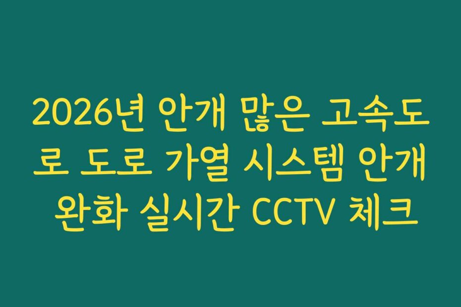 2026년 안개 많은 고속도로 도로 가열 시스템 안개 완화 실시간 CCTV 체크