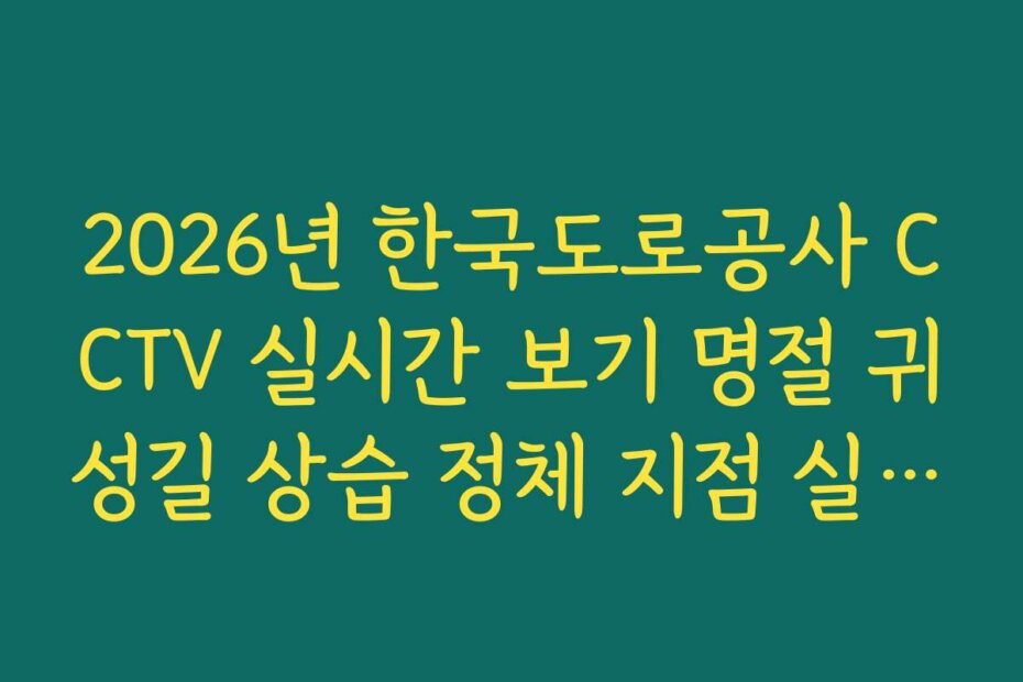 2026년 한국도로공사 CCTV 실시간 보기 명절 귀성길 상습 정체 지점 실시간 분석