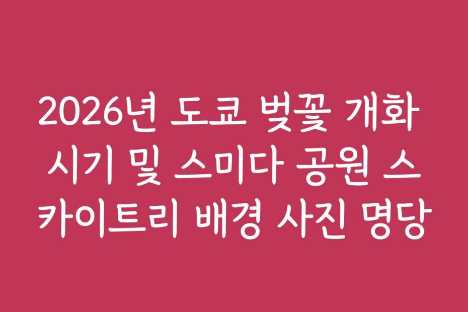 2026년 도쿄 벚꽃 개화 시기 및 스미다 공원 스카이트리 배경 사진 명당