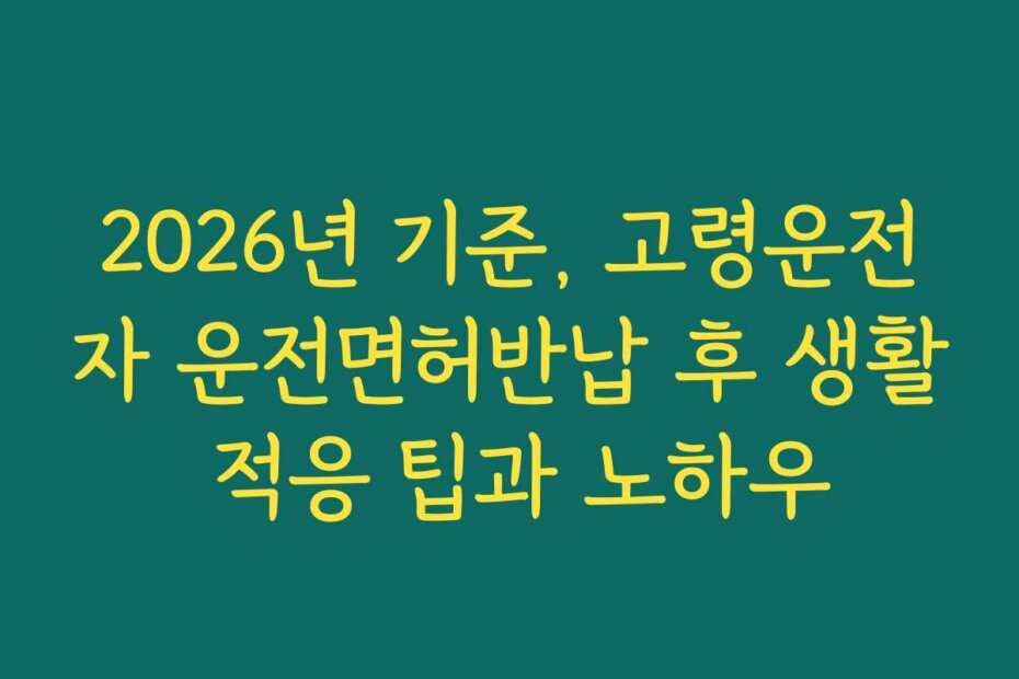 2026년 기준, 고령운전자 운전면허반납 후 생활 적응 팁과 노하우