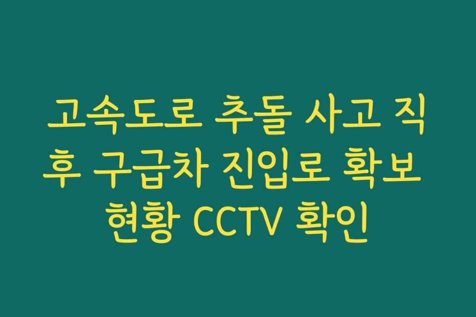 고속도로 추돌 사고 직후 구급차 진입로 확보 현황 CCTV 확인